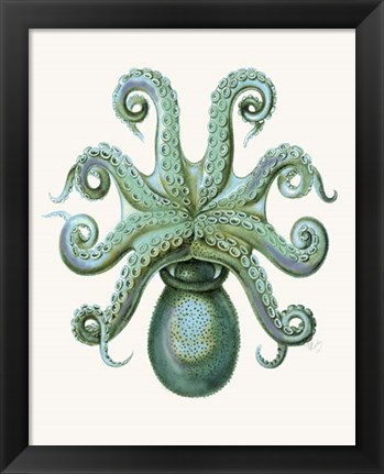 Framed Turquoise Octopus and Squid c Print
