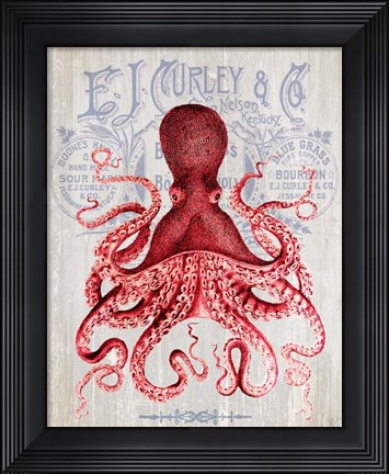 Framed Octopus Prohibition Octopus On White Print