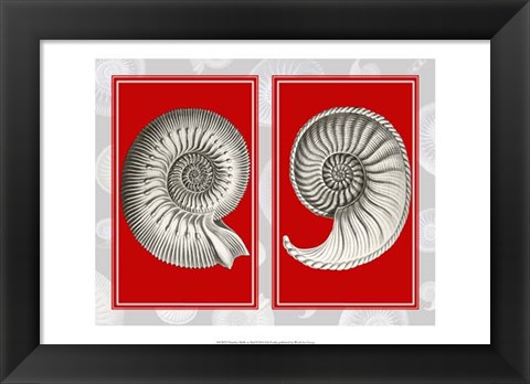Framed Nautilus Shells On Red Print