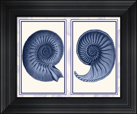 Framed Nautilus Shells Indigo Blue Print