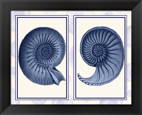 Framed Nautilus Shells Indigo Blue Print