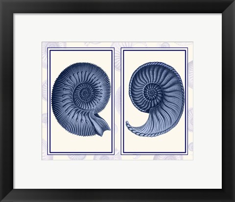 Framed Nautilus Shells Indigo Blue Print