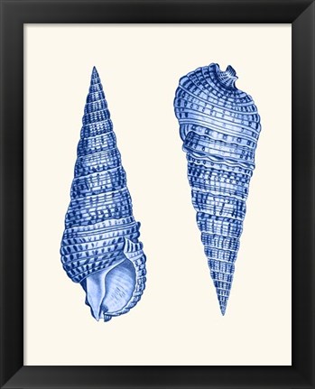 Framed 2 Blue Shells a Print