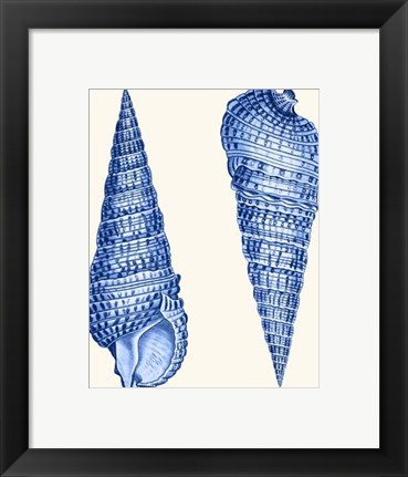 Framed 2 Blue Shells a Print