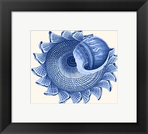 Framed 2 Blue Shells b Print