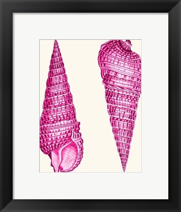 Framed Pink Shells a Print