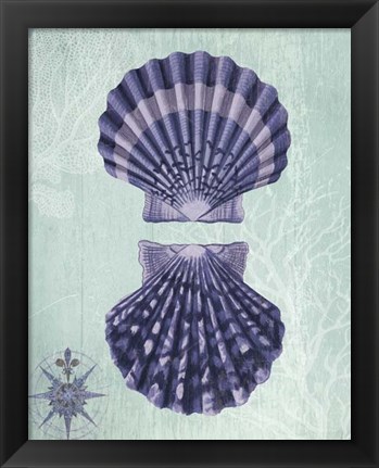 Framed Seashell Collection 2 a Print