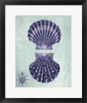 Framed Seashell Collection 2 a Print