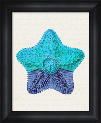Framed Starfish in Shades of Blue c Print