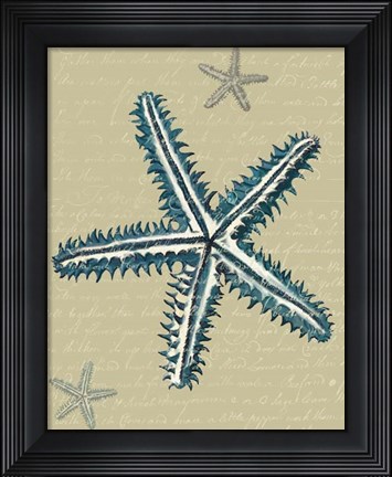 Framed Blue Starfish on Taupe a Print