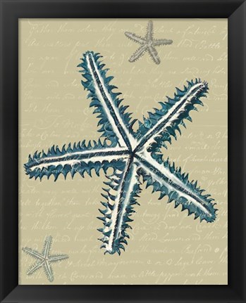 Framed Blue Starfish on Taupe a Print