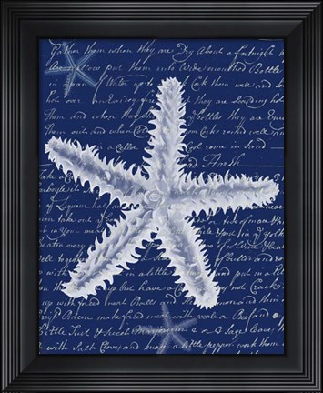 Framed White Starfish on Blue b Print