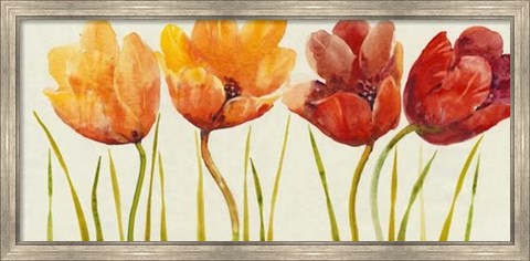 Framed Row of Tulips I Print