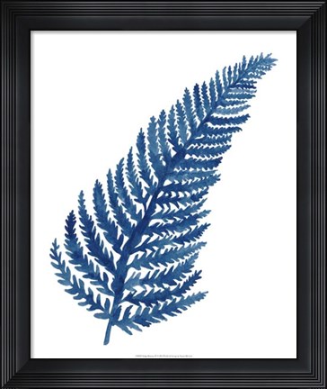 Framed Indigo Botanica IV Print