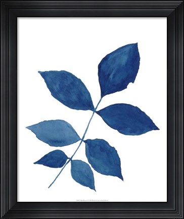 Framed Indigo Botanica VI Print