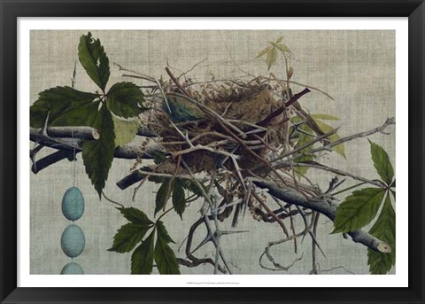 Framed Nesting I Print