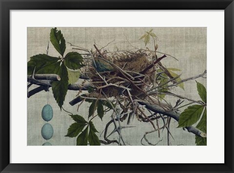 Framed Nesting I Print