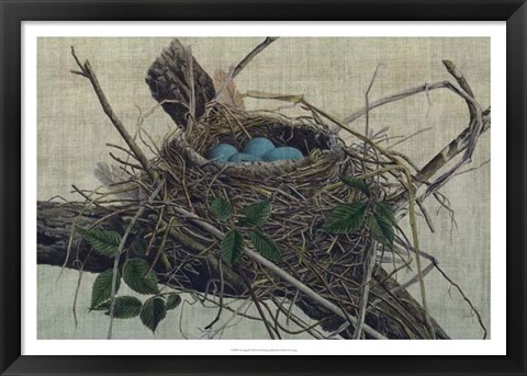 Framed Nesting II Print