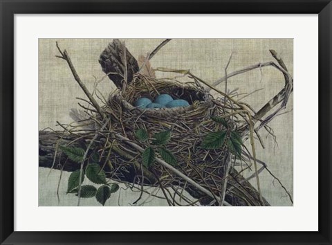 Framed Nesting II Print