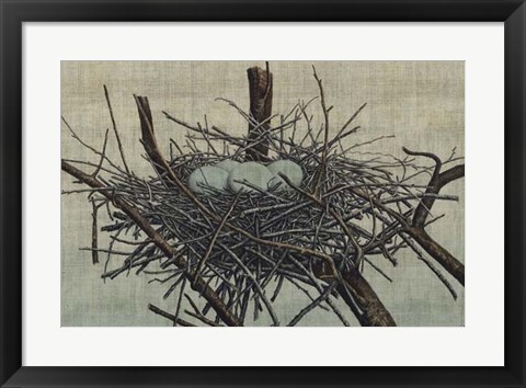 Framed Nesting IV Print