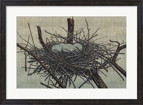 Framed Nesting IV Print