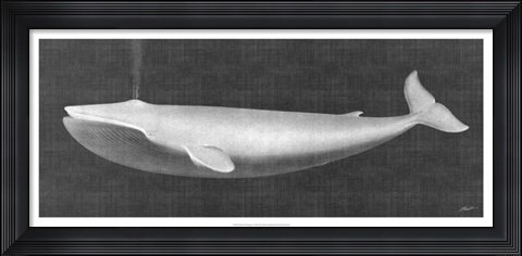 Framed Whale Watching I Print