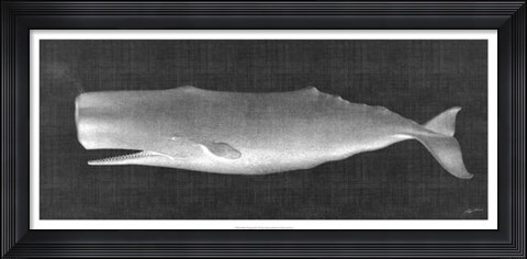 Framed Whale Watching II Print