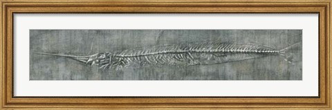 Framed Fossil Imprint II Print