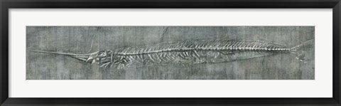 Framed Fossil Imprint II Print