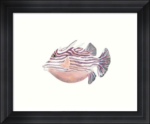 Framed Watercolor Tropical Fish II Print