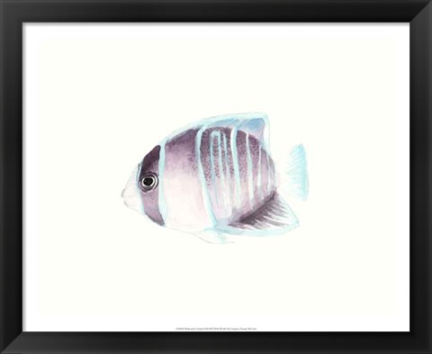 Framed Watercolor Tropical Fish III Print
