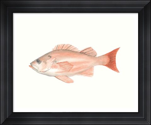 Framed Watercolor Deep Sea Fish I Print