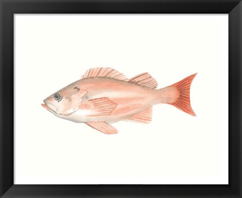 Framed Watercolor Deep Sea Fish I Print