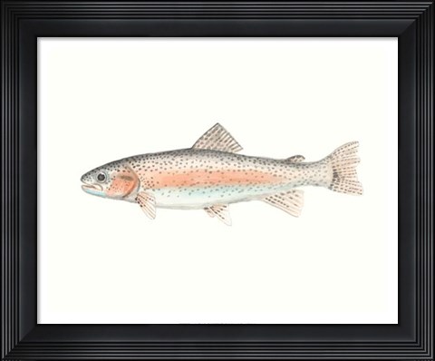 Framed Watercolor Deep Sea Fish II Print