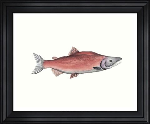 Framed Watercolor Deep Sea Fish III Print