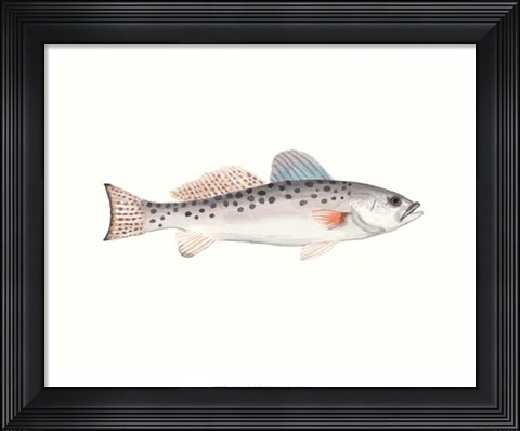 Framed Watercolor Deep Sea Fish IV Print