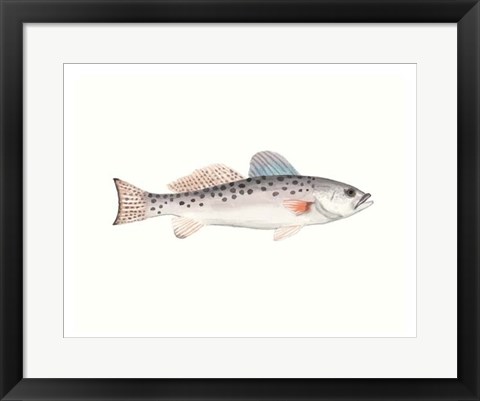 Framed Watercolor Deep Sea Fish IV Print