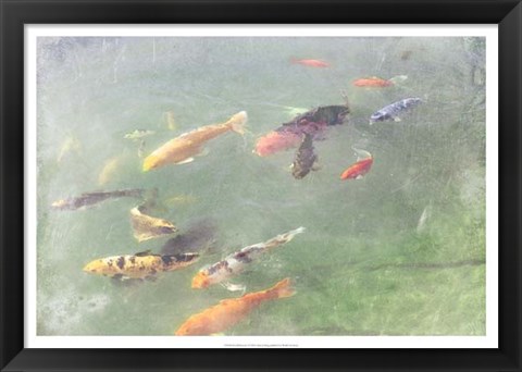 Framed Koi Reflections I Print