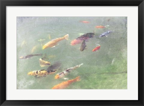 Framed Koi Reflections I Print