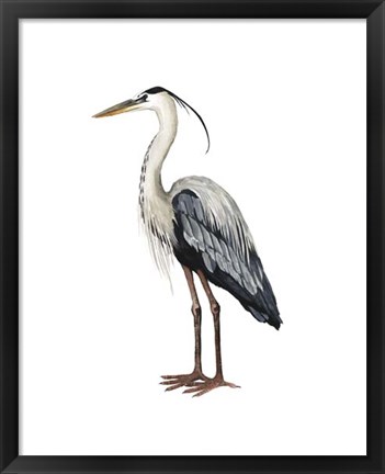 Framed Sea Bird I Print