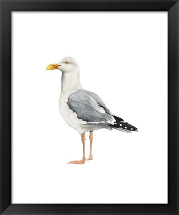 Framed Sea Bird II Print