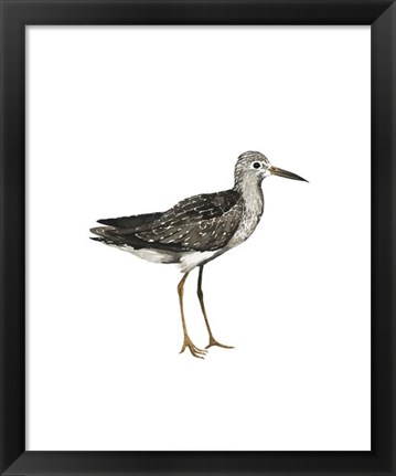 Framed Sea Bird III Print