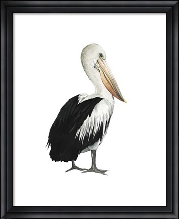 Framed Sea Bird IV Print
