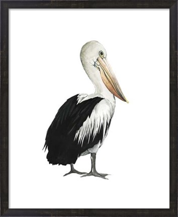 Framed Sea Bird IV Print