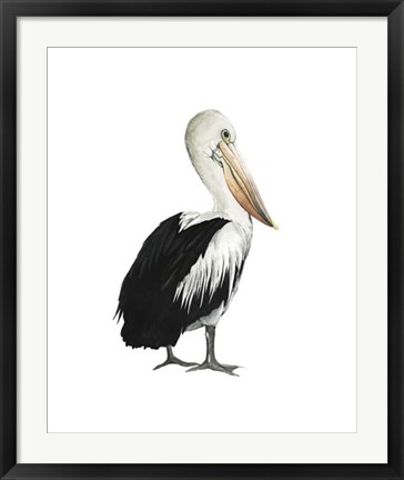 Framed Sea Bird IV Print
