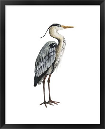 Framed Sea Bird V Print