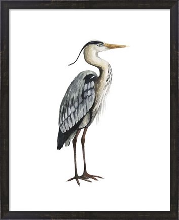 Framed Sea Bird V Print