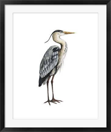 Framed Sea Bird V Print