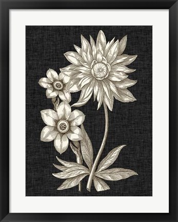 Framed Dramatic Chintz I Print