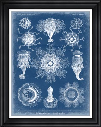 Framed Marine Blueprint I Print